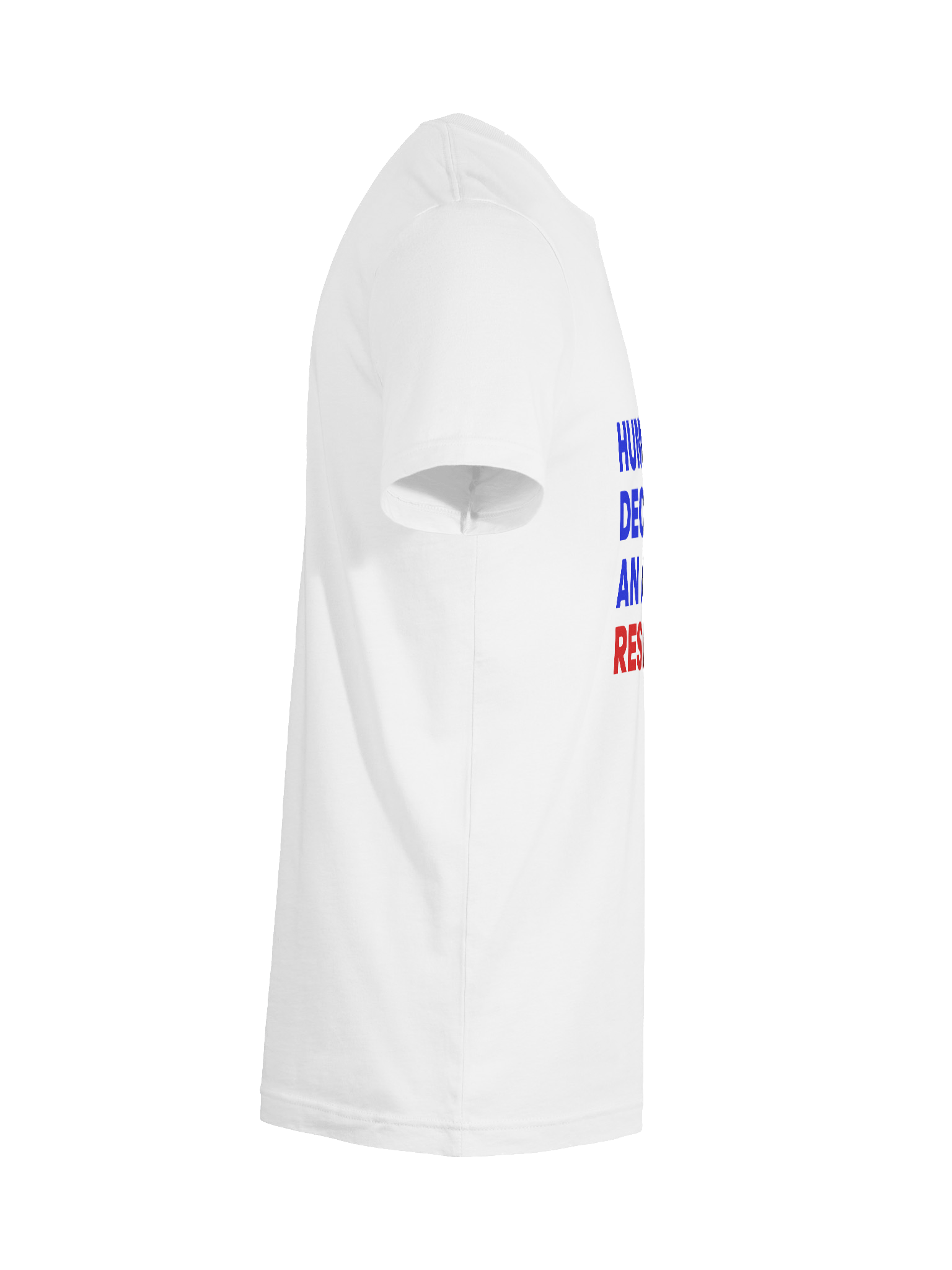 HUMAN DECENCY IS AN ACT OF RESISTANCE - WOMENS FIT product image (7)