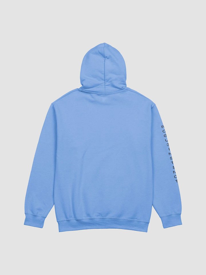 Phoenix Hoodie - Black product image (2)