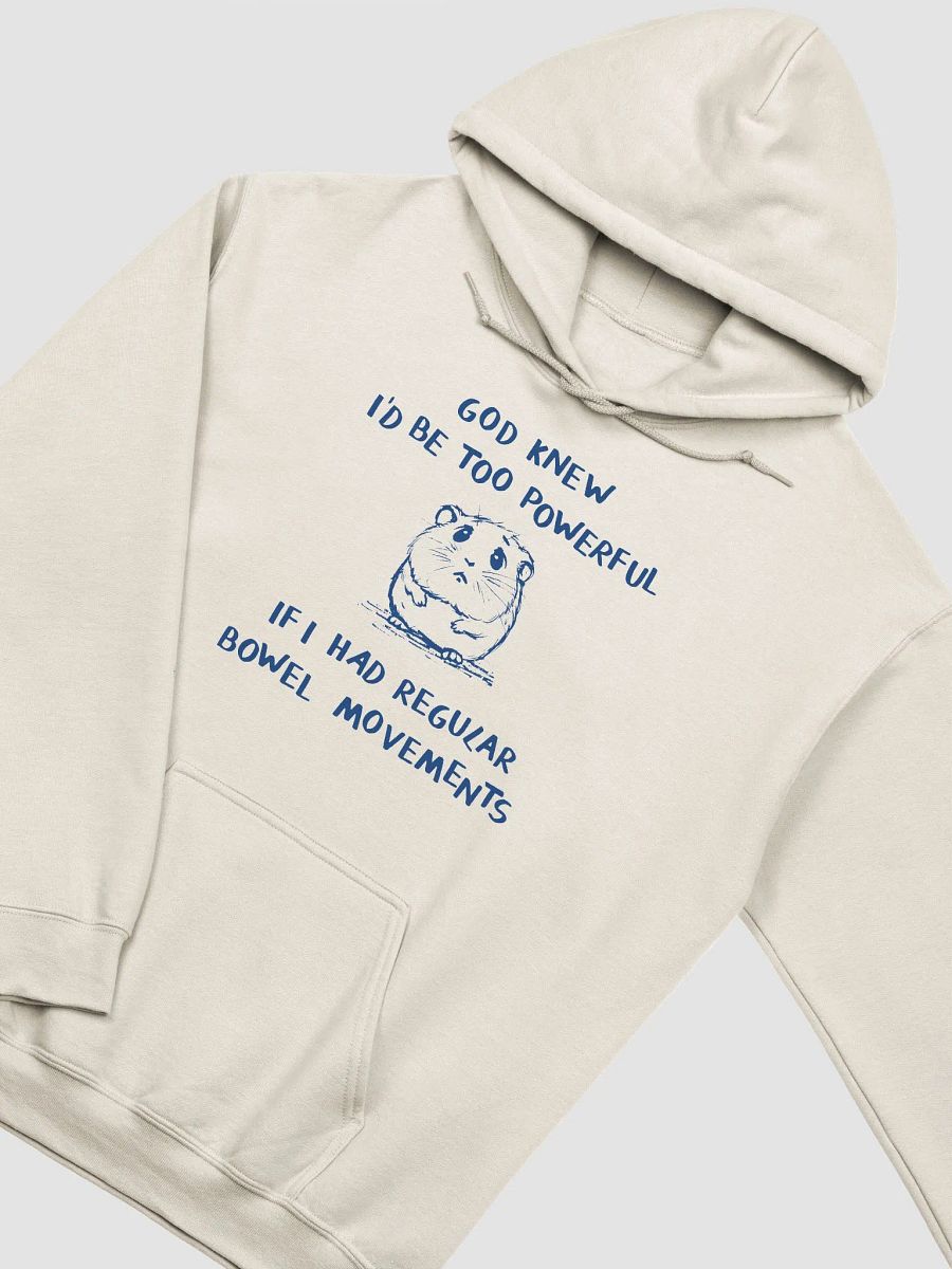 God knew I'd be too powerful Hoodie product image (2)