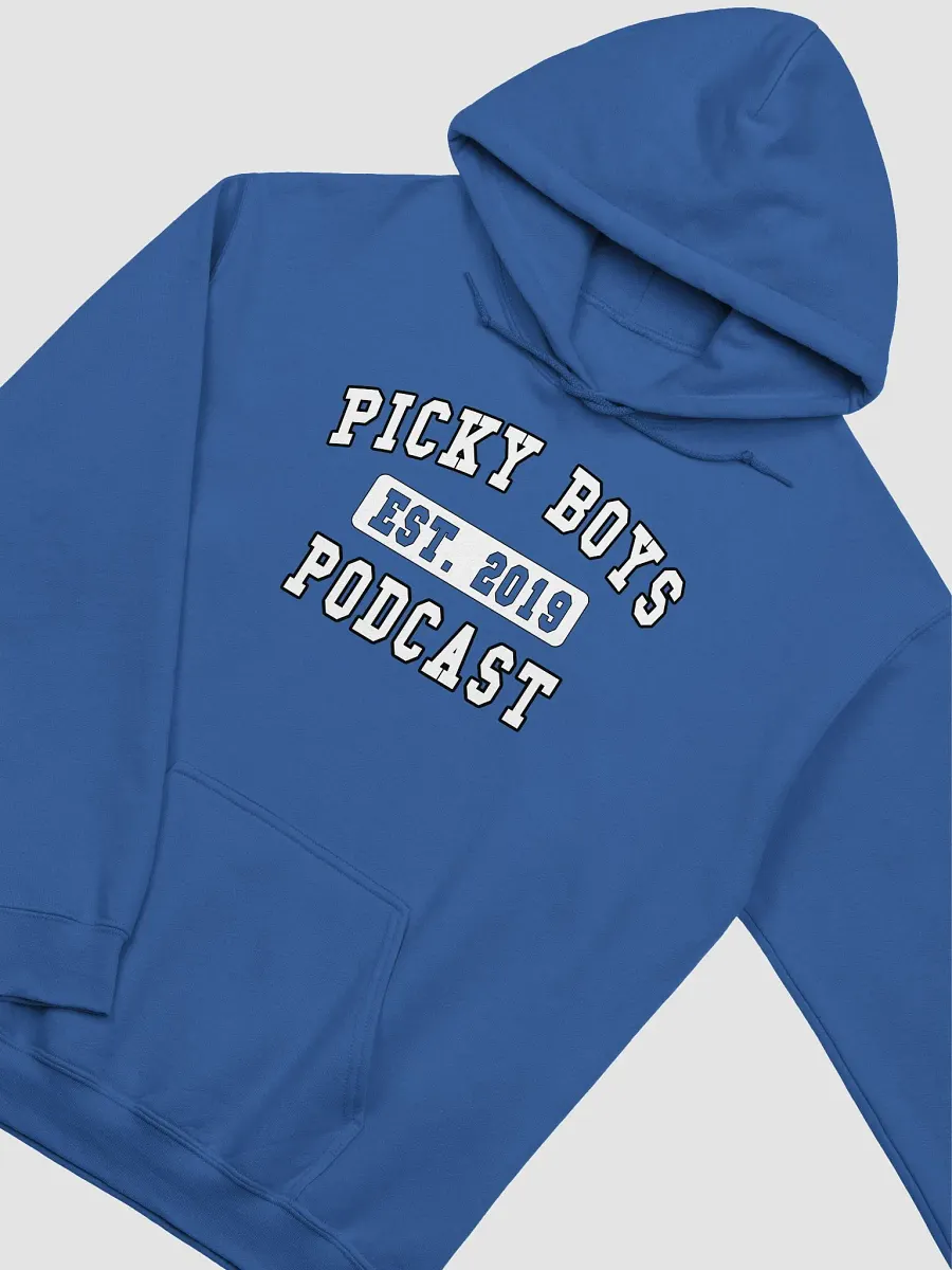 Picky Boys Est. 2019 Hoodie (9 Colors) product image (4)