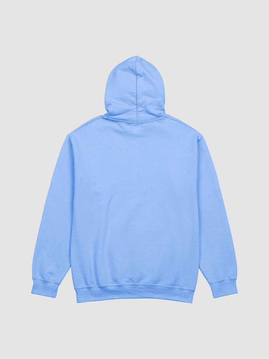 Feeling Kinda IDGAF-ISH Hoodie product image (6)