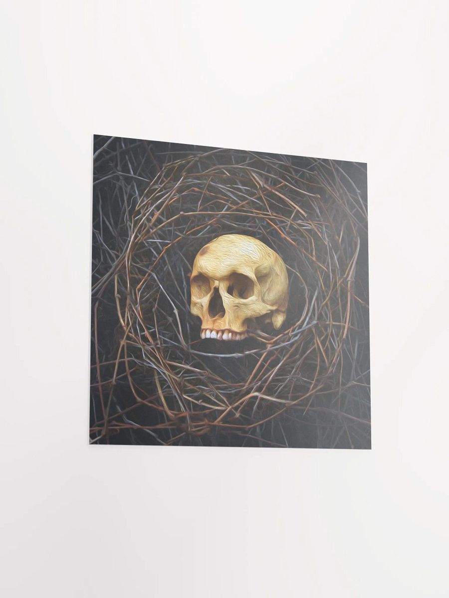 "Skull Nest" - 8x10 Matte Print product image (4)