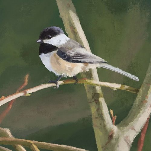 Digital painting study I did on Sunday. I learned a lot, and I’m happy with how it turned out! I *really* want to get better ...