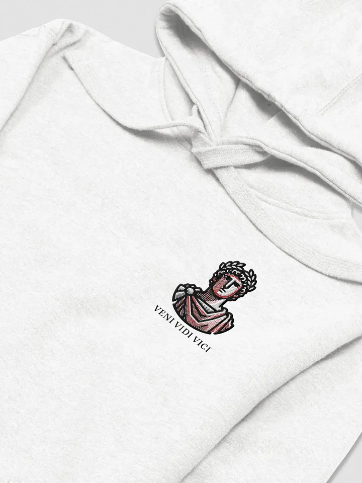 Veni Vidi Vici Hoodie product image (1)