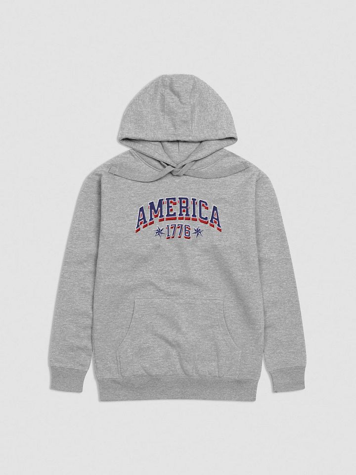 AMERICA / HOODIE / EMBROIDERED product image (2)