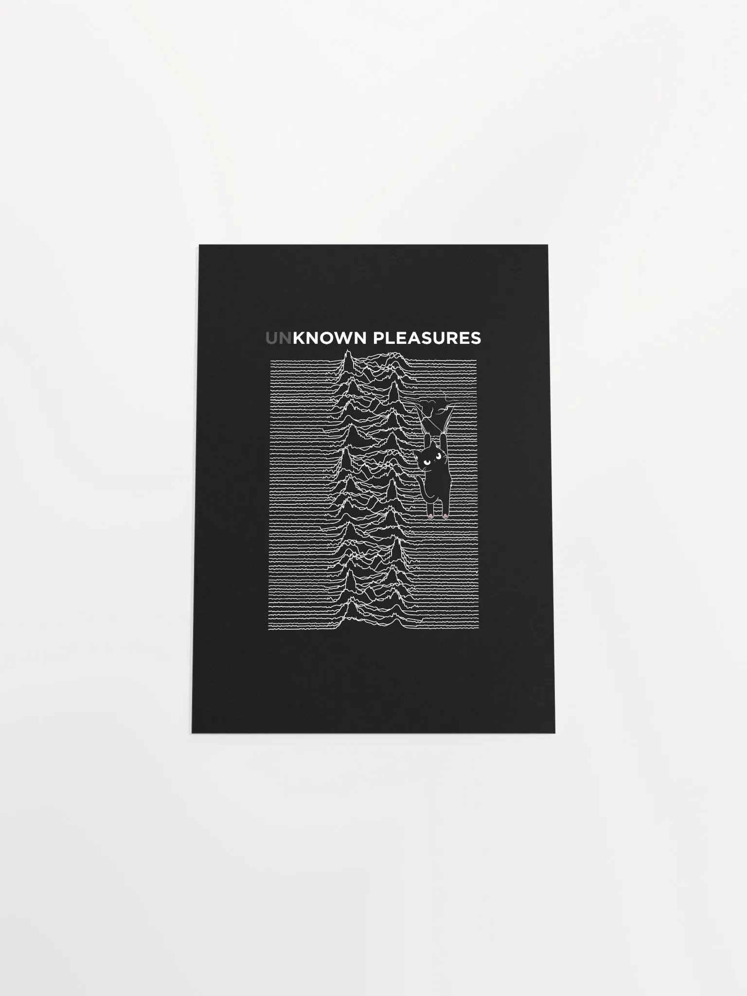 KITTEN'S UNKNOWN PLEASURES product image (47)
