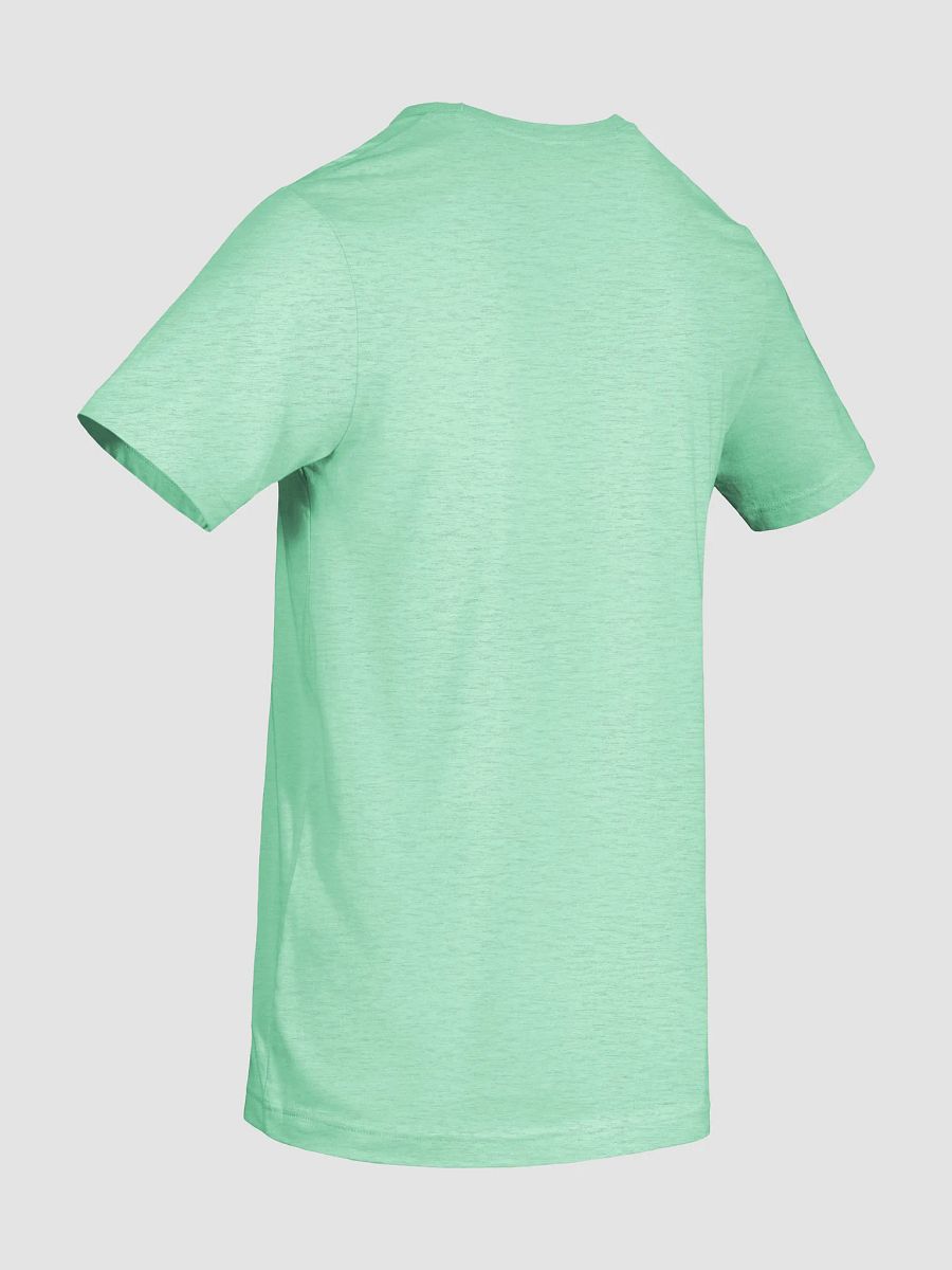 Traditional Gender Unity Connection T-Shirt product image (8)