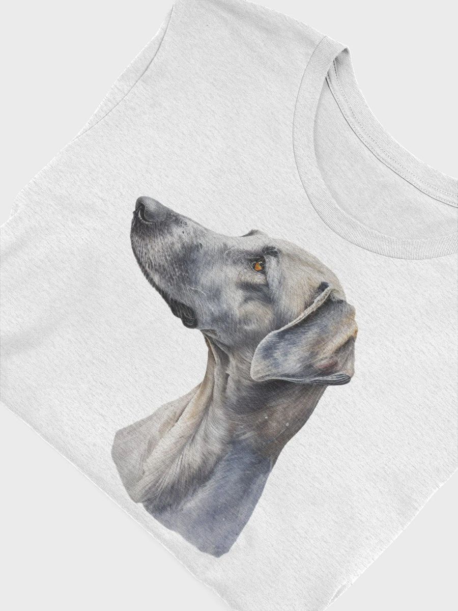 Greyhound product image (3)