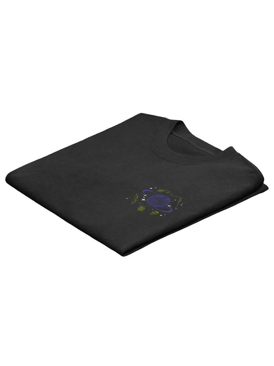 World Tour Tee (Faded Heavyweight) product image (4)