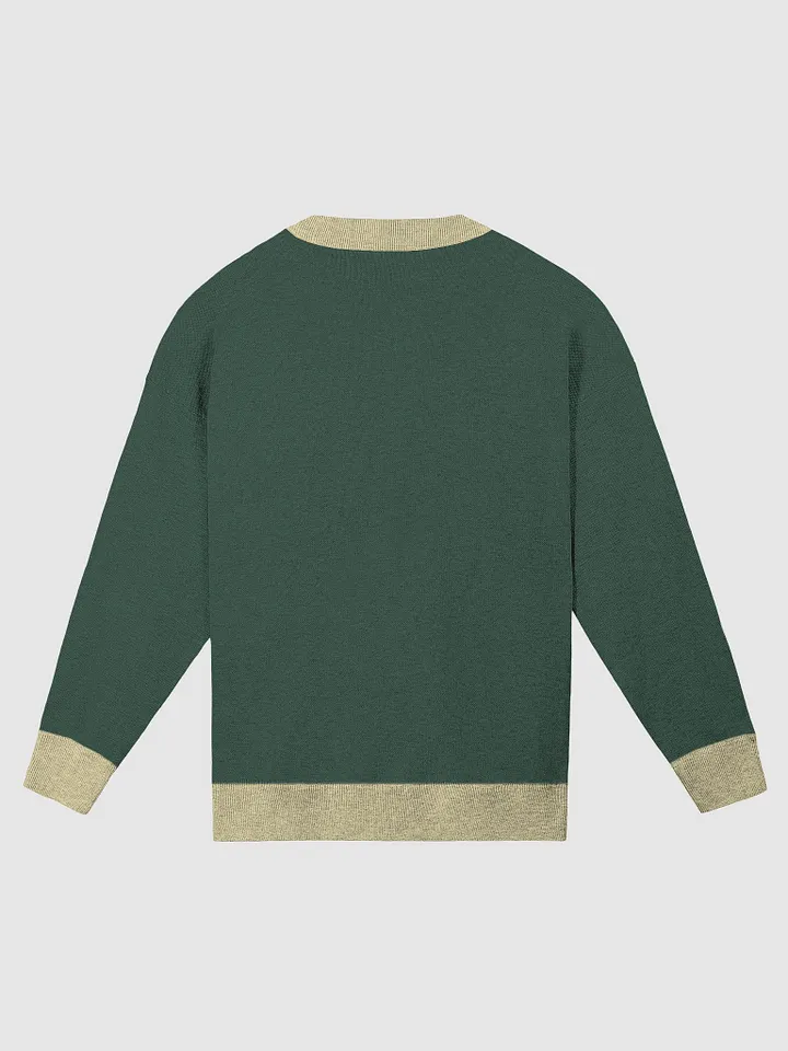 Writer Sweater in Pine Green and Mellow Yellow product image (2)