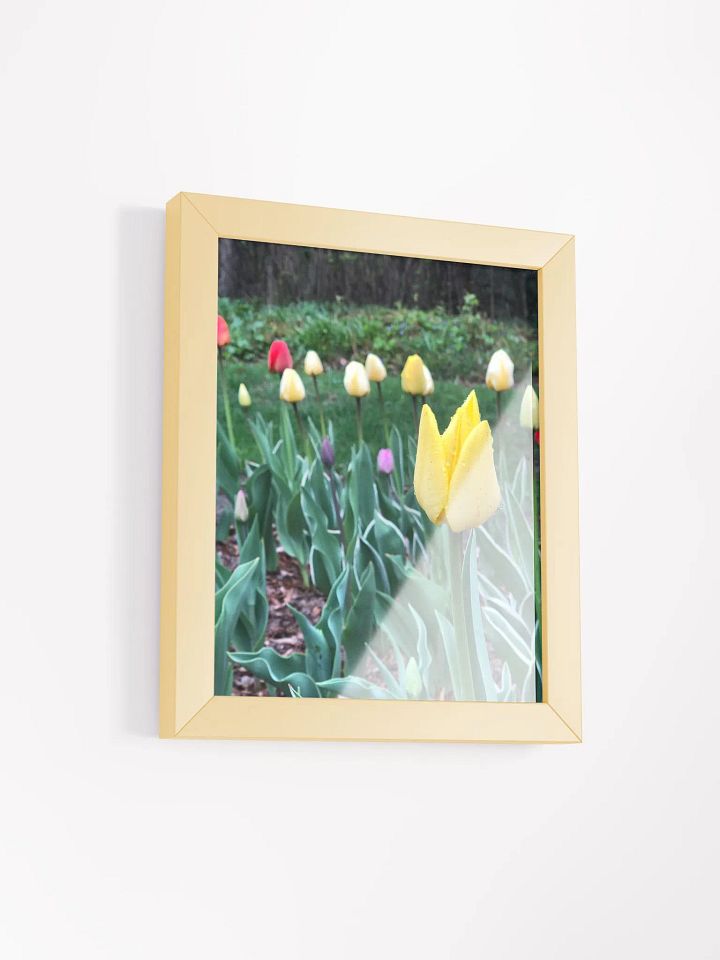 Tulips in the Rain High Quality Matte Poster product image (2)