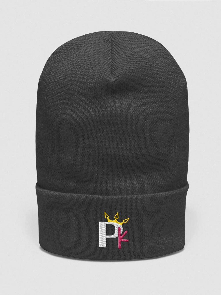 Kiwi Beanie - Dark Gray product image (4)