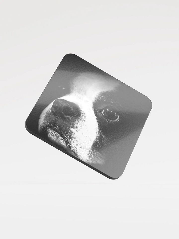 HOOGANCOASTER product image (1)