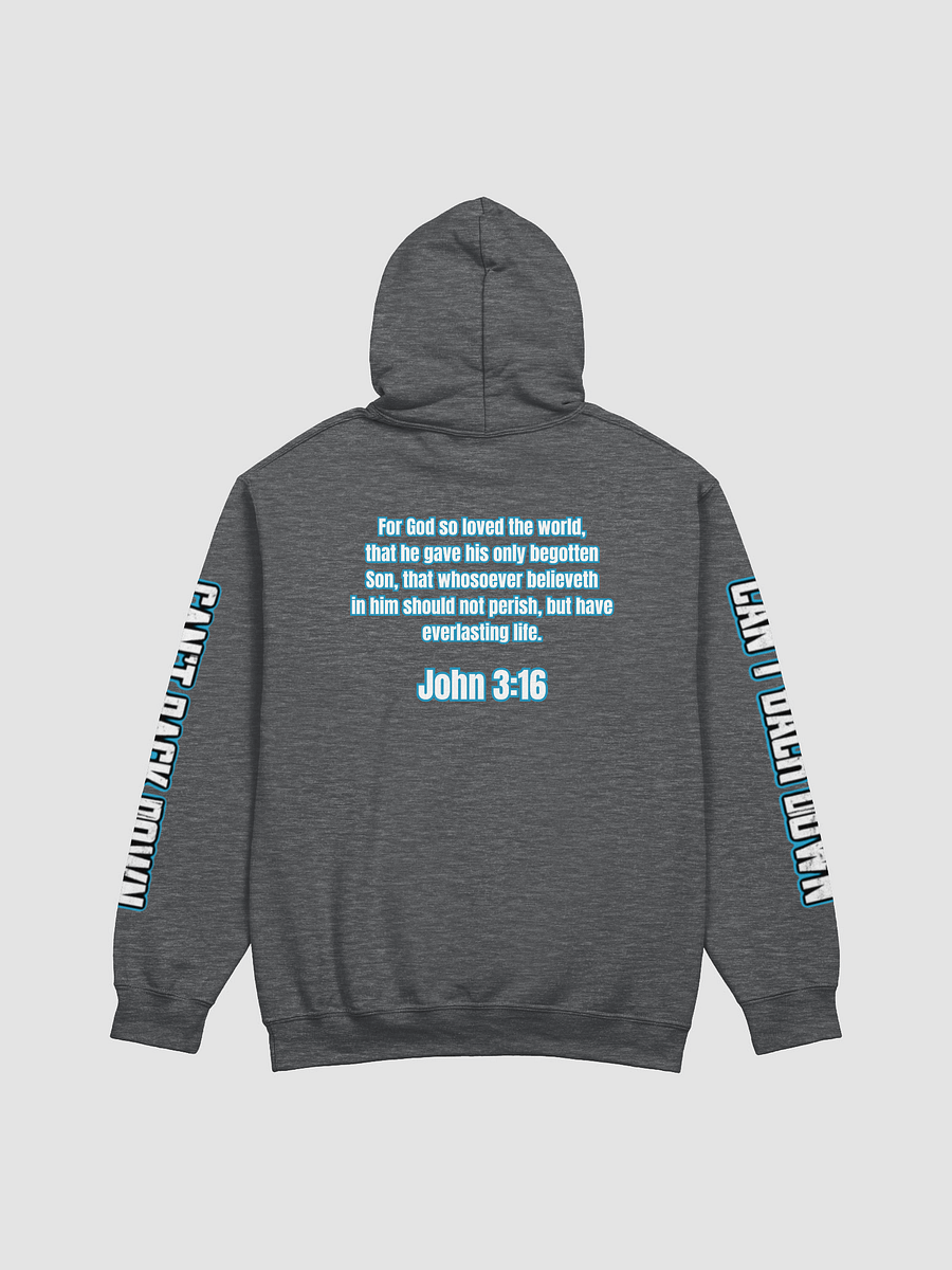 TeNN4OUR (Scripture) Hoodie (John 3:16) product image (6)