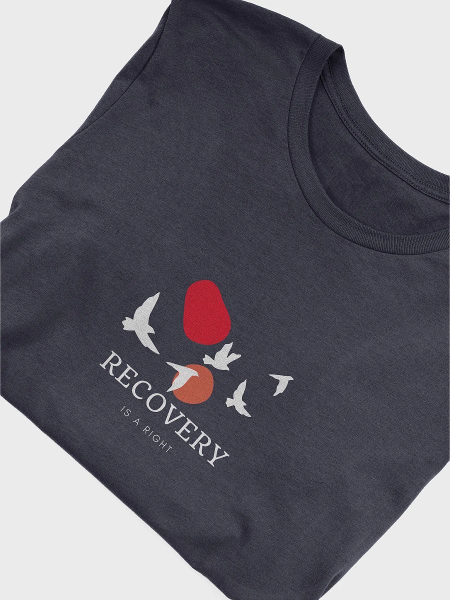 Recovery is a Right product image (4)