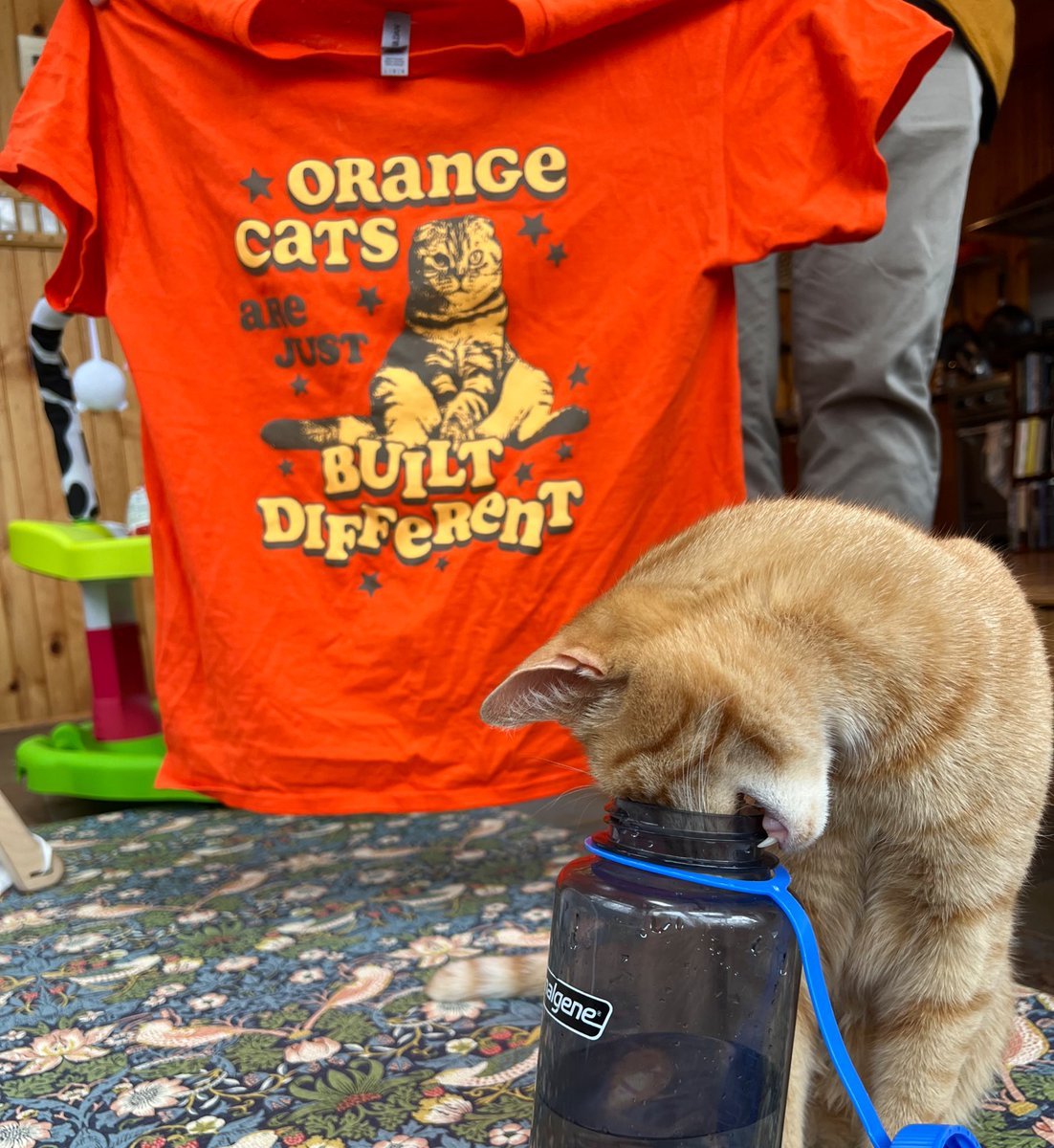 Orange cats are just built different unisex tee 🐈 product image (3)