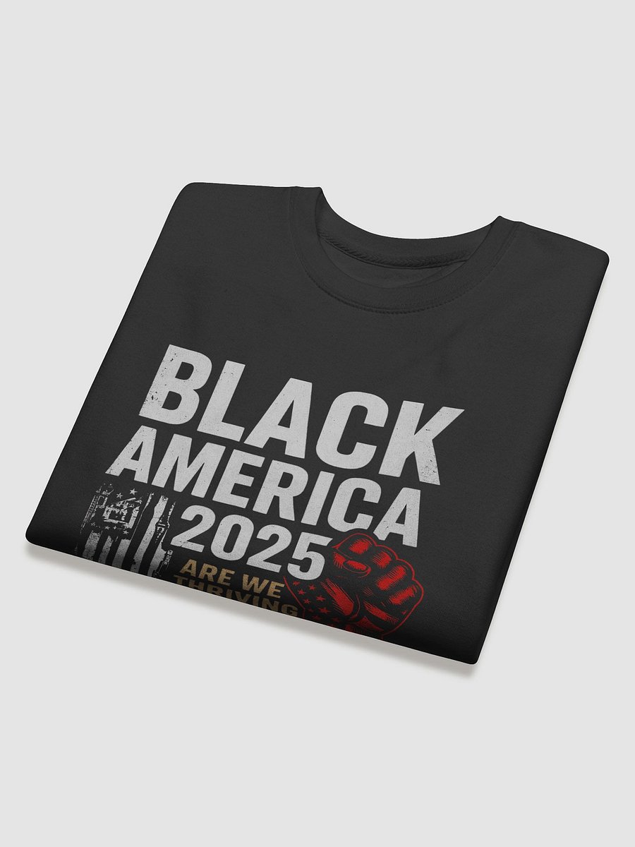 Black America 2025 Premium Sweatshirt product image (4)