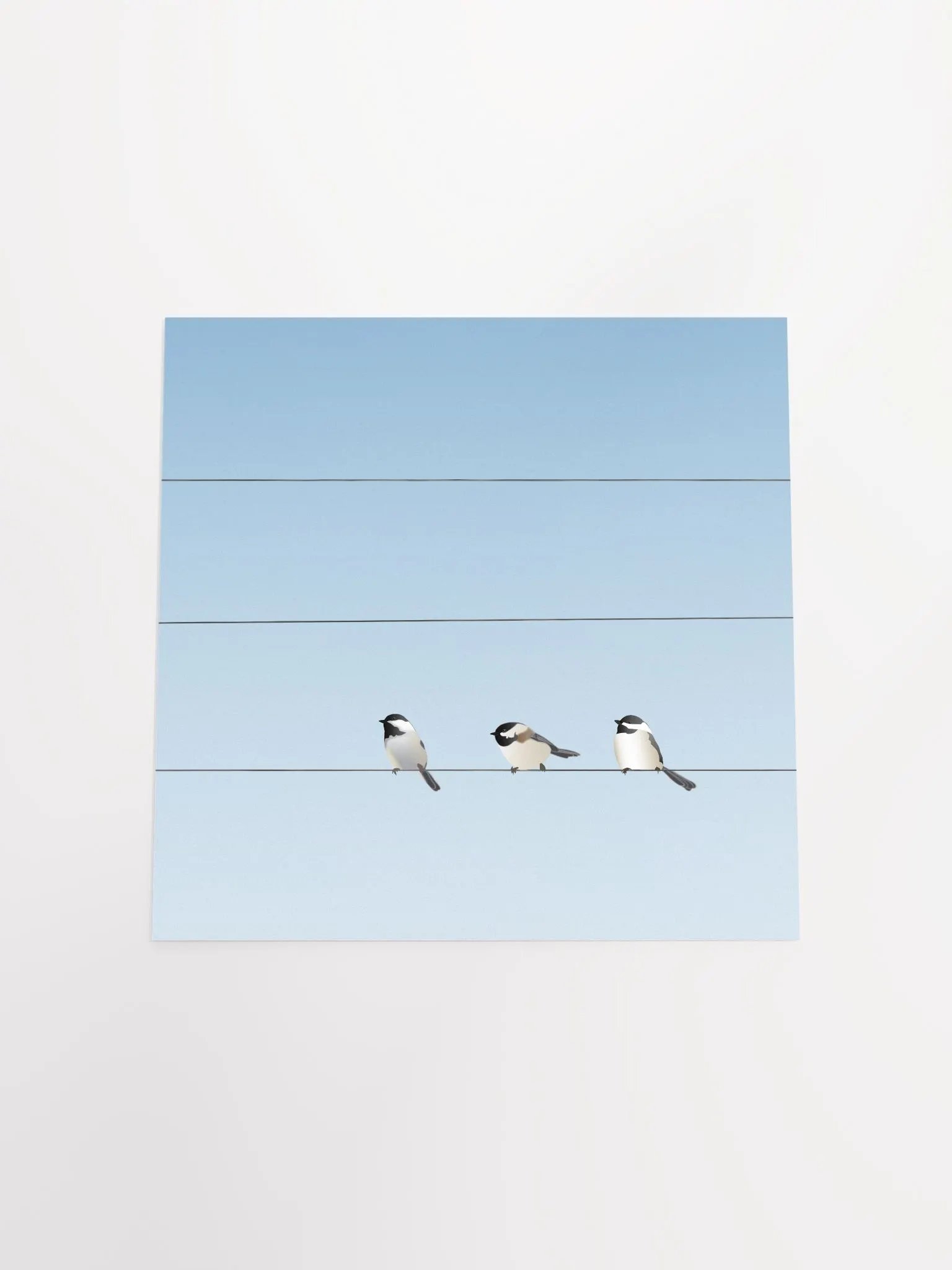 Three Birds on a Wire product image (4)