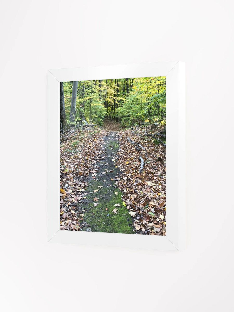Trail in the Fall High Quality Matte Poster product image (3)