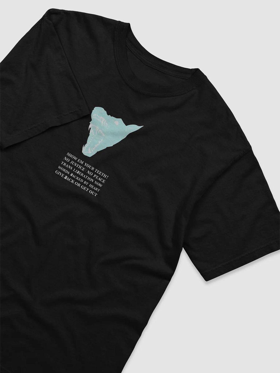 Show Em shirt 2 product image (3)