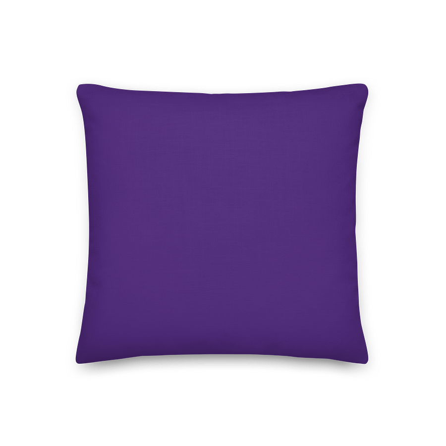 CG Educational Pillow product image (2)
