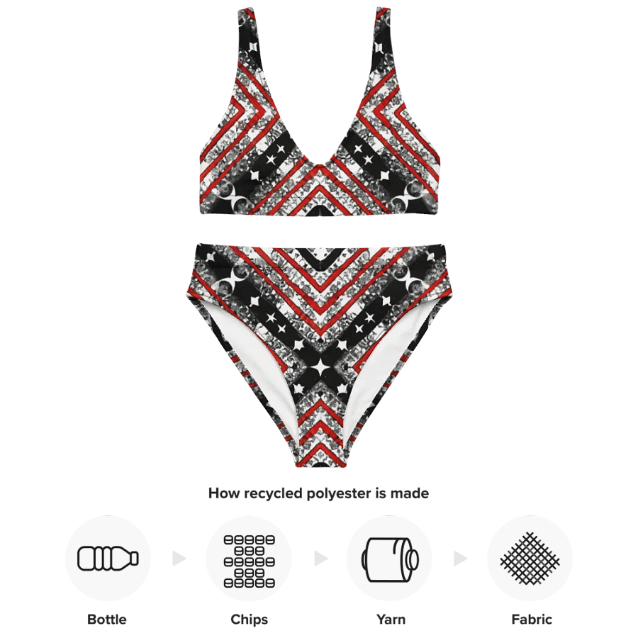 Black/Silver and Red Stars and Stripes Bikini product image (4)