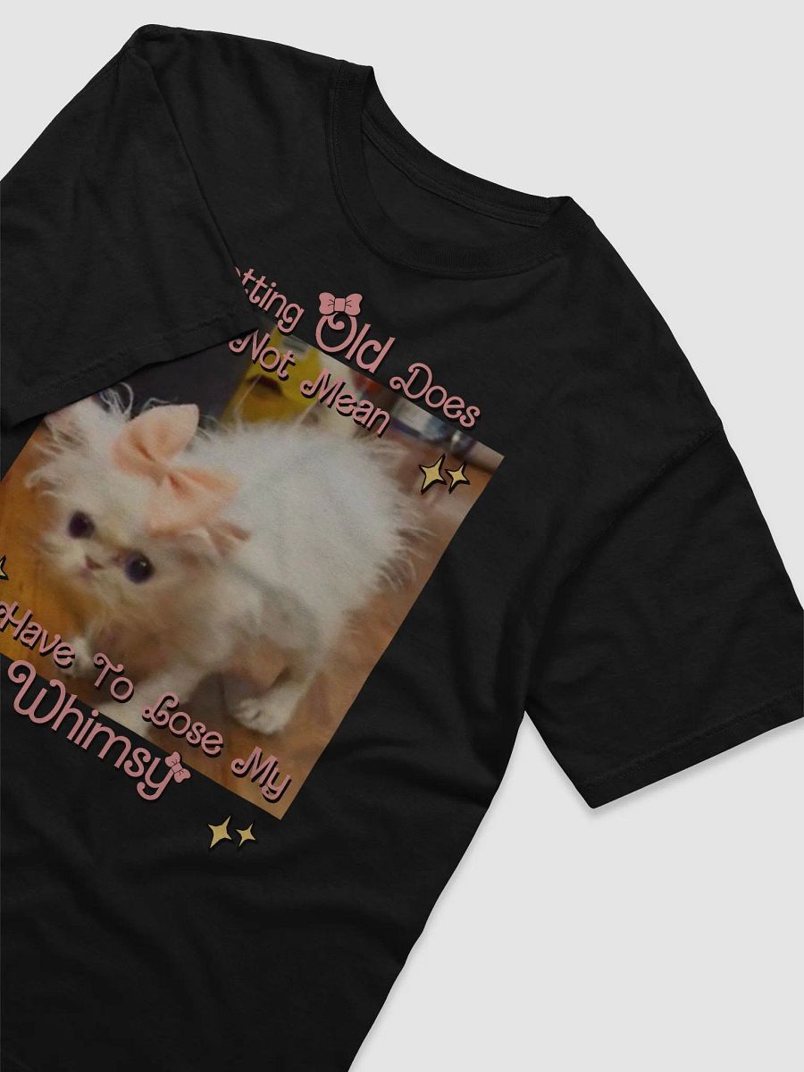 Old & Whimsy Heavyweight T-Shirt product image (7)