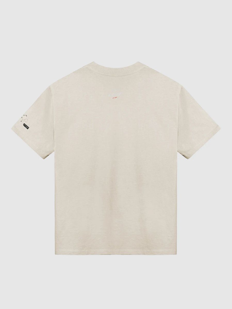 STREET ALCHEMY Premium Faded Tee product image (5)