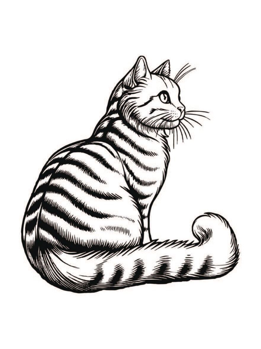 240-Page Mix Character Coloring Book product image (3)