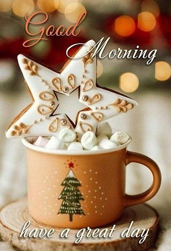 Good Morning xmas day 2;