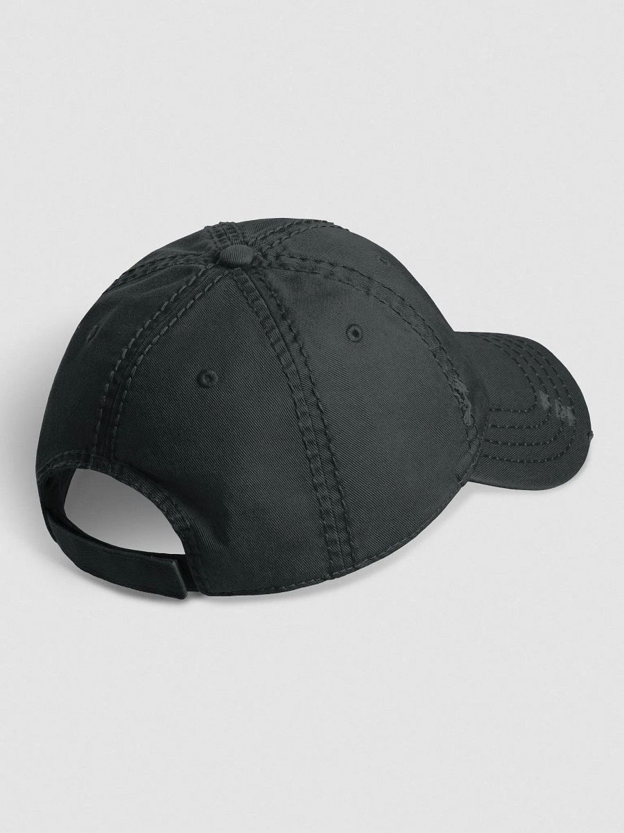 TW Logo Distressed Cap product image (5)
