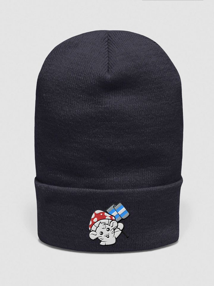Demiboy beanie product image (2)