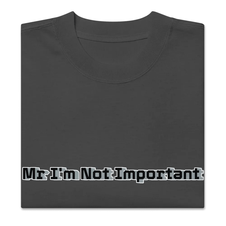 Premium Oversized Faded T-Shirt - Mr I'm Not Important product image (5)