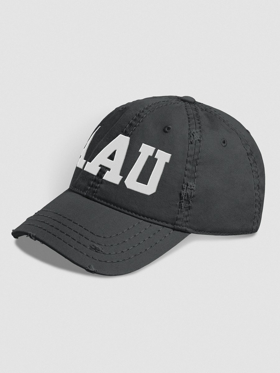 AAU Distressed Uncle Sam Hat product image (8)