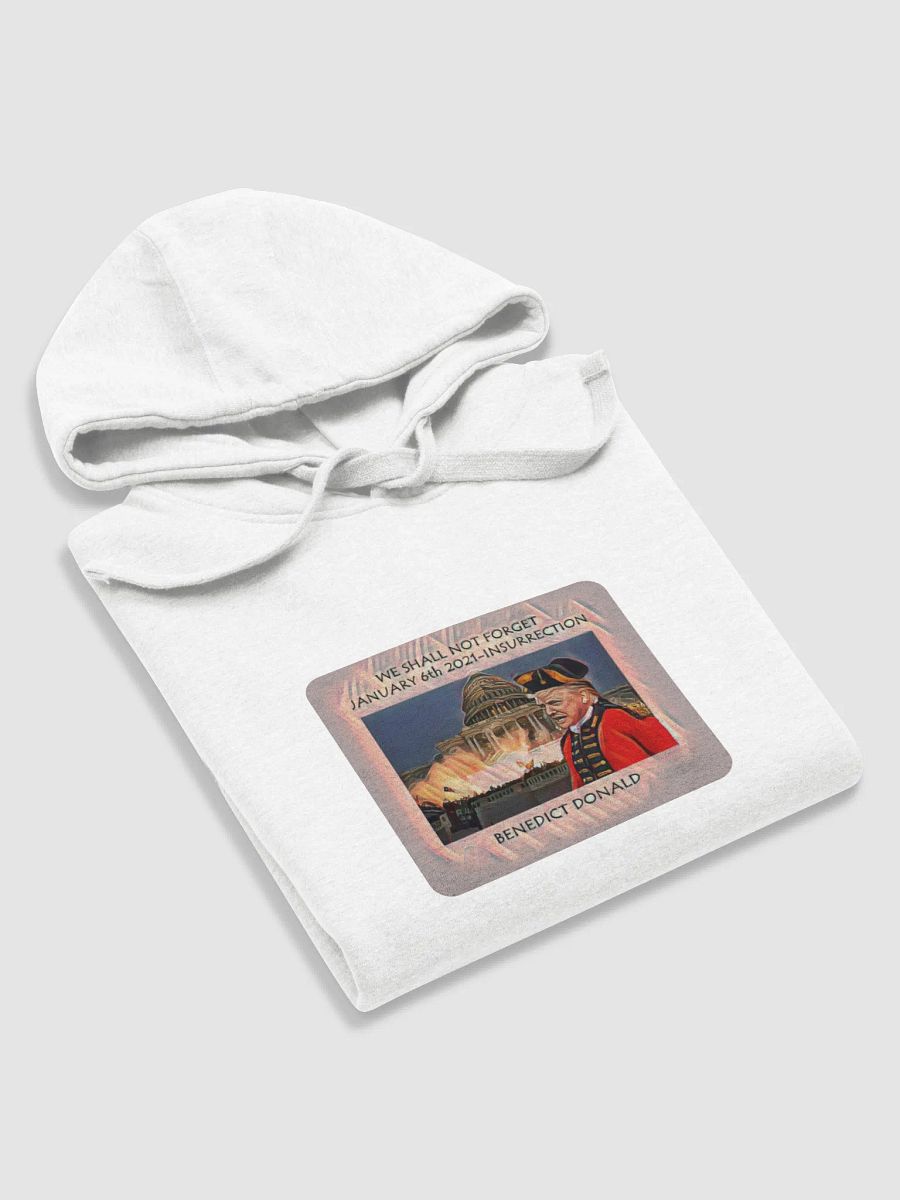 Capitol Insurrection Tribute Hoodie product image (71)