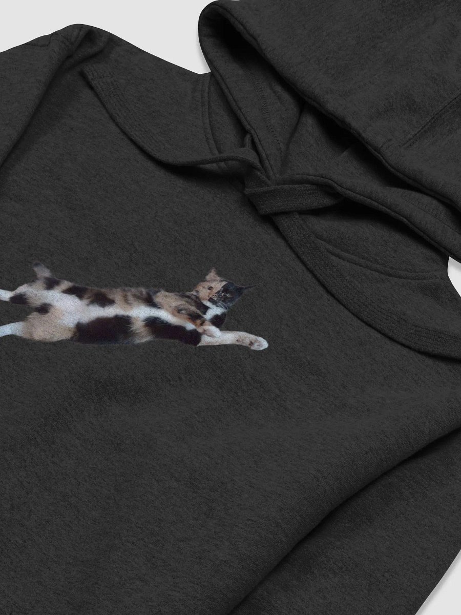 Flight of the Lyras Hoodie product image (3)