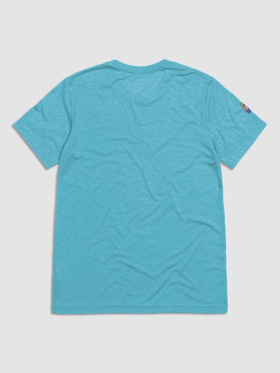Team Nice Tri blend Tshirt product image (4)