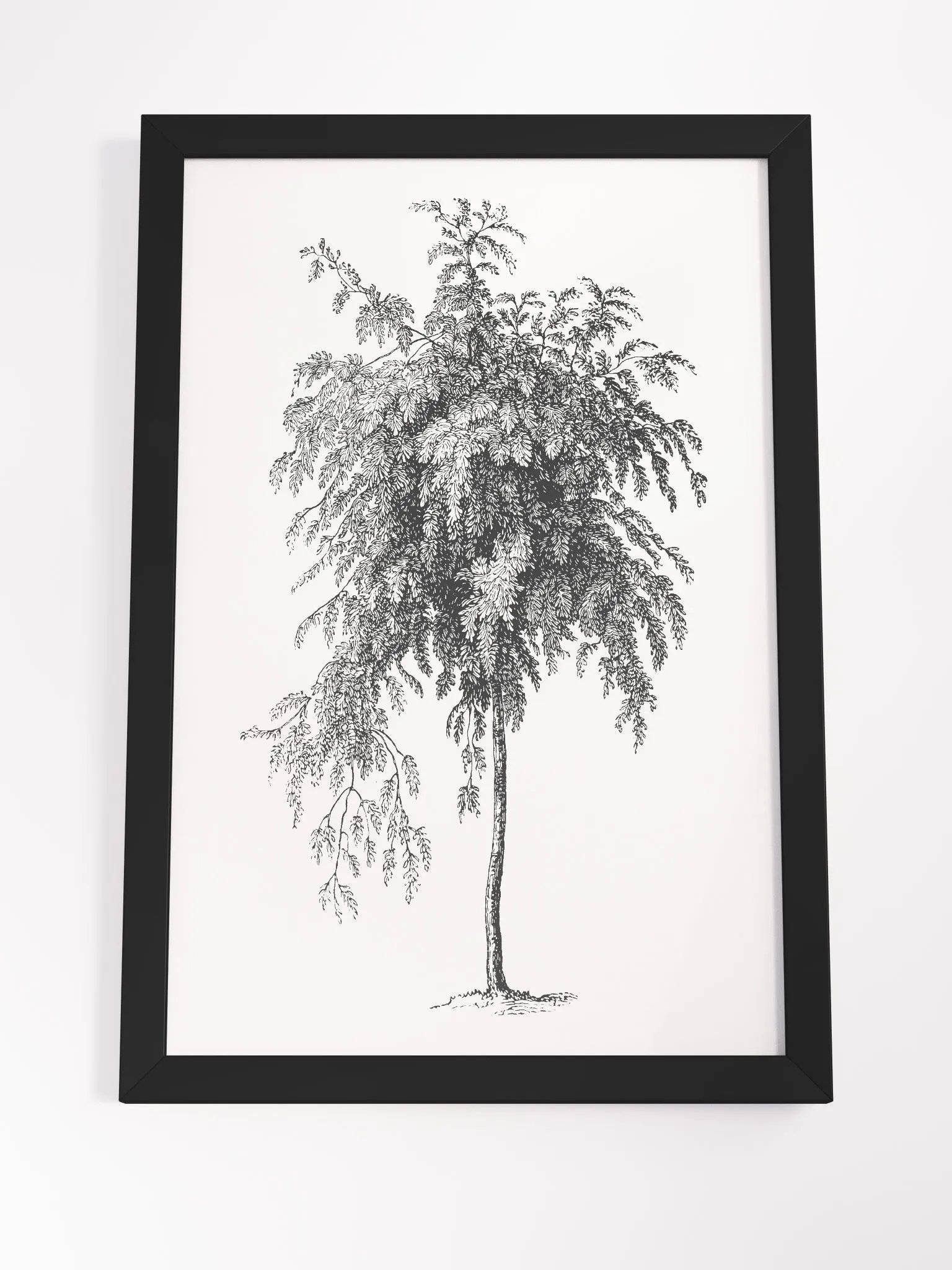 Woodland Trees #3 Framed Print product image (8)