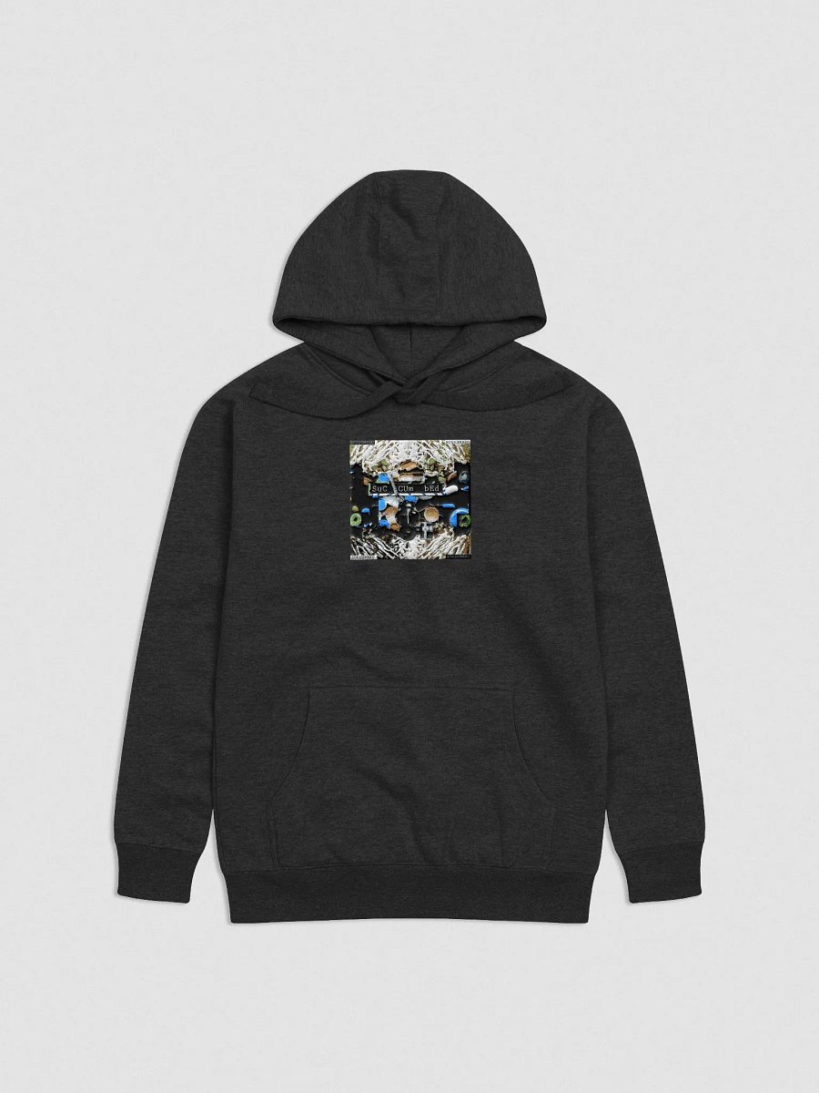 Lost Coast Hoodie product image (1)