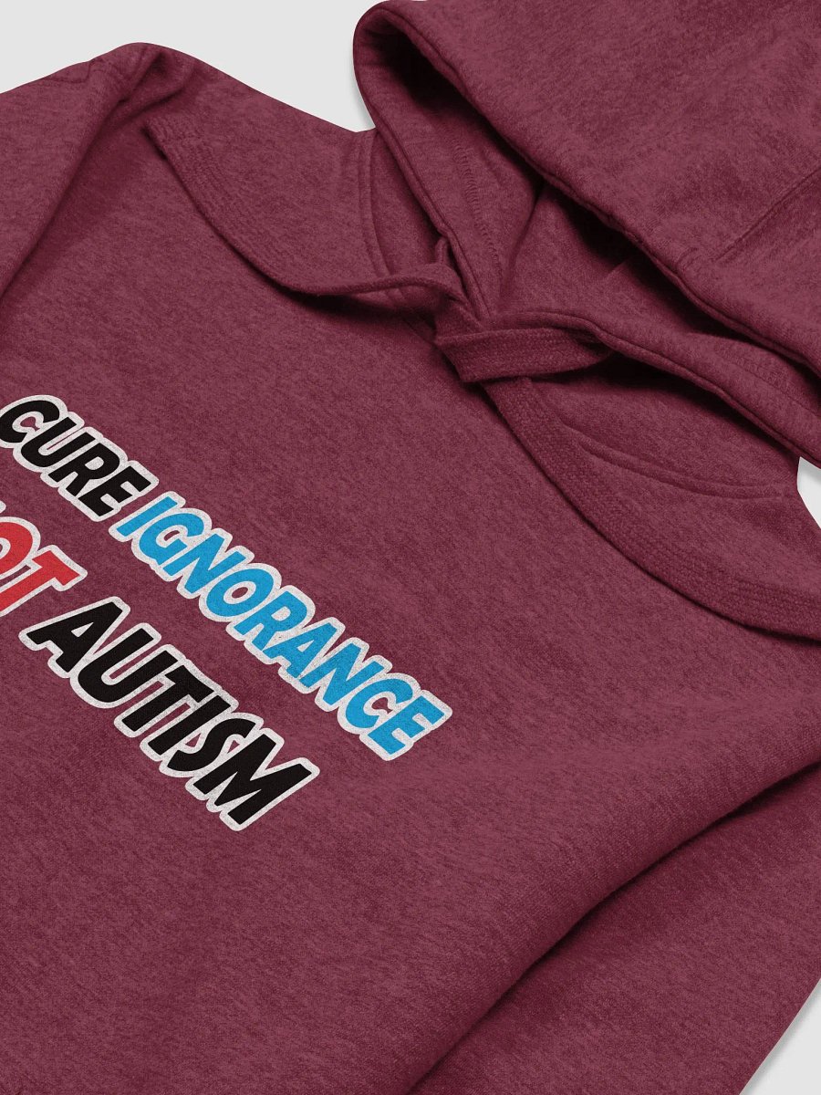 Cure Ignorance Not Autism Hoodie product image (8)
