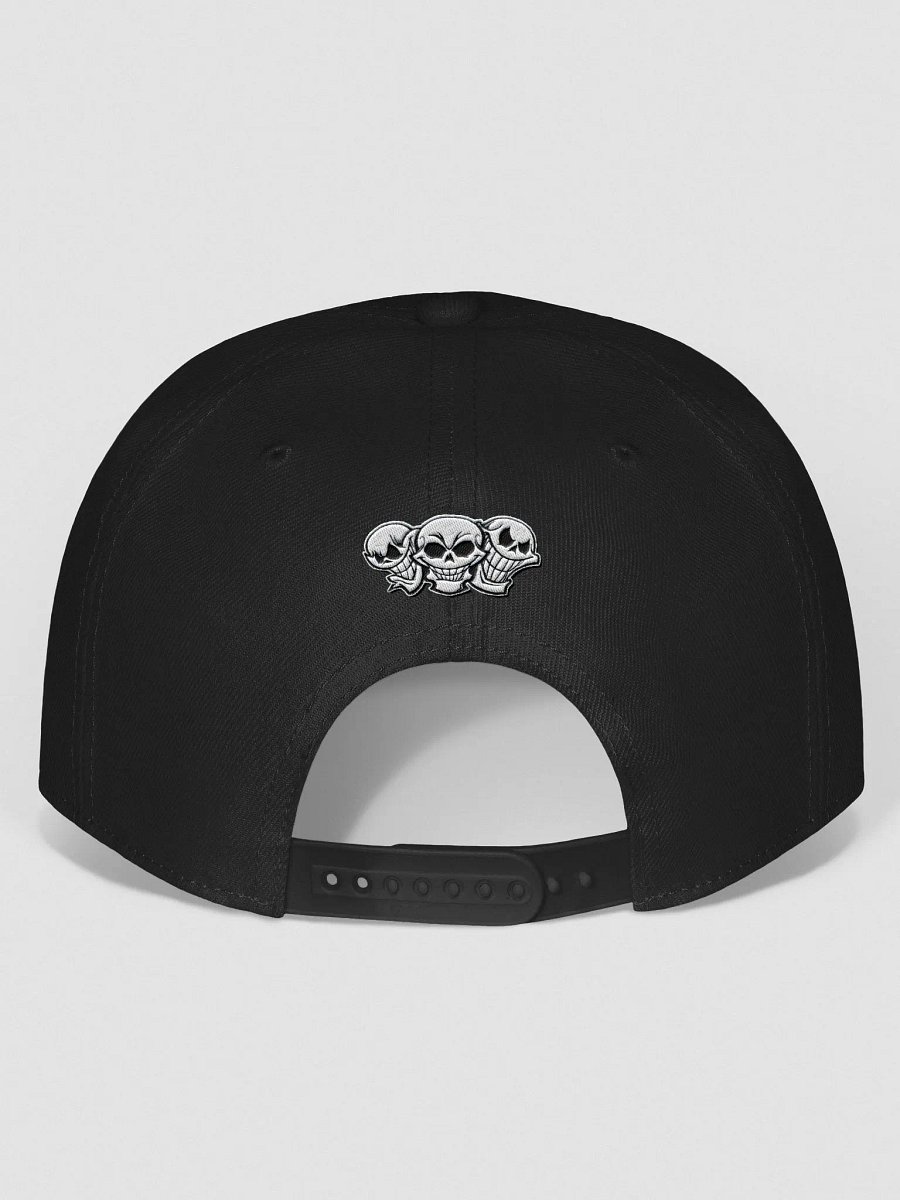 Reign Of Anarchy - Snap Back product image (1)