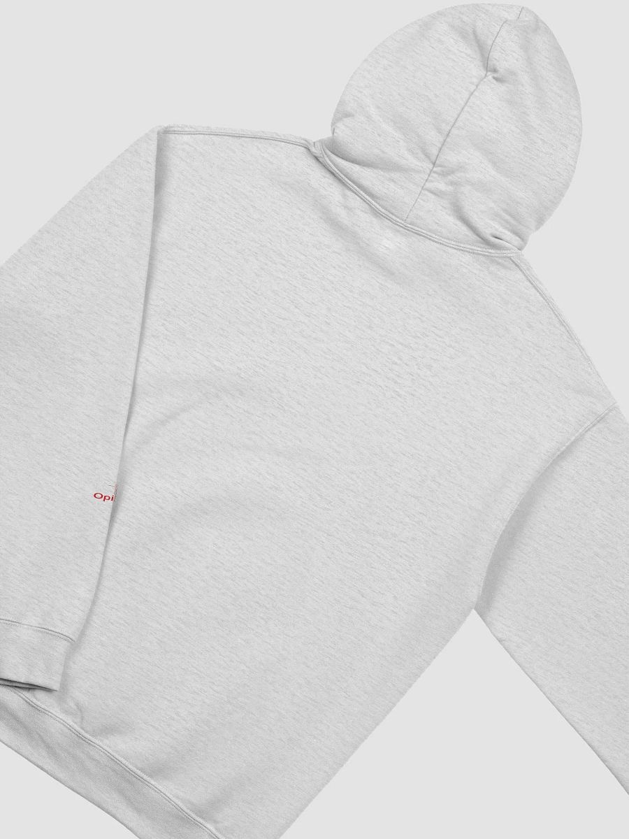 Aaron Bushnell - Palestine - Gildan Classic Hoodie product image (4)