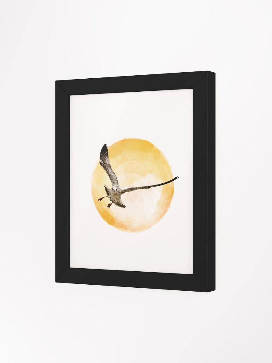 Young Sun Gull Framed Print product image (100)
