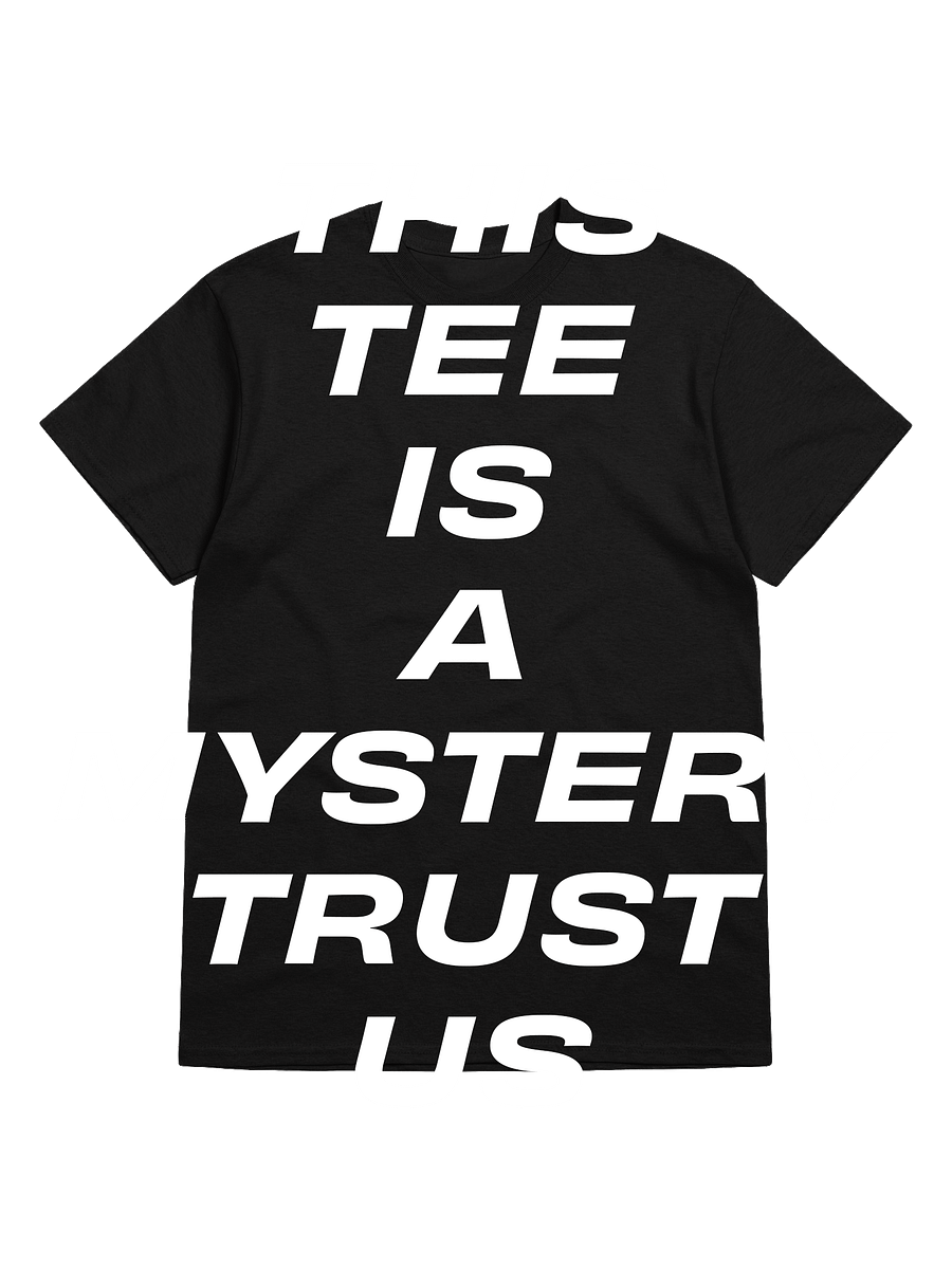 NAP May 2025 Mystery Tee product image (1)