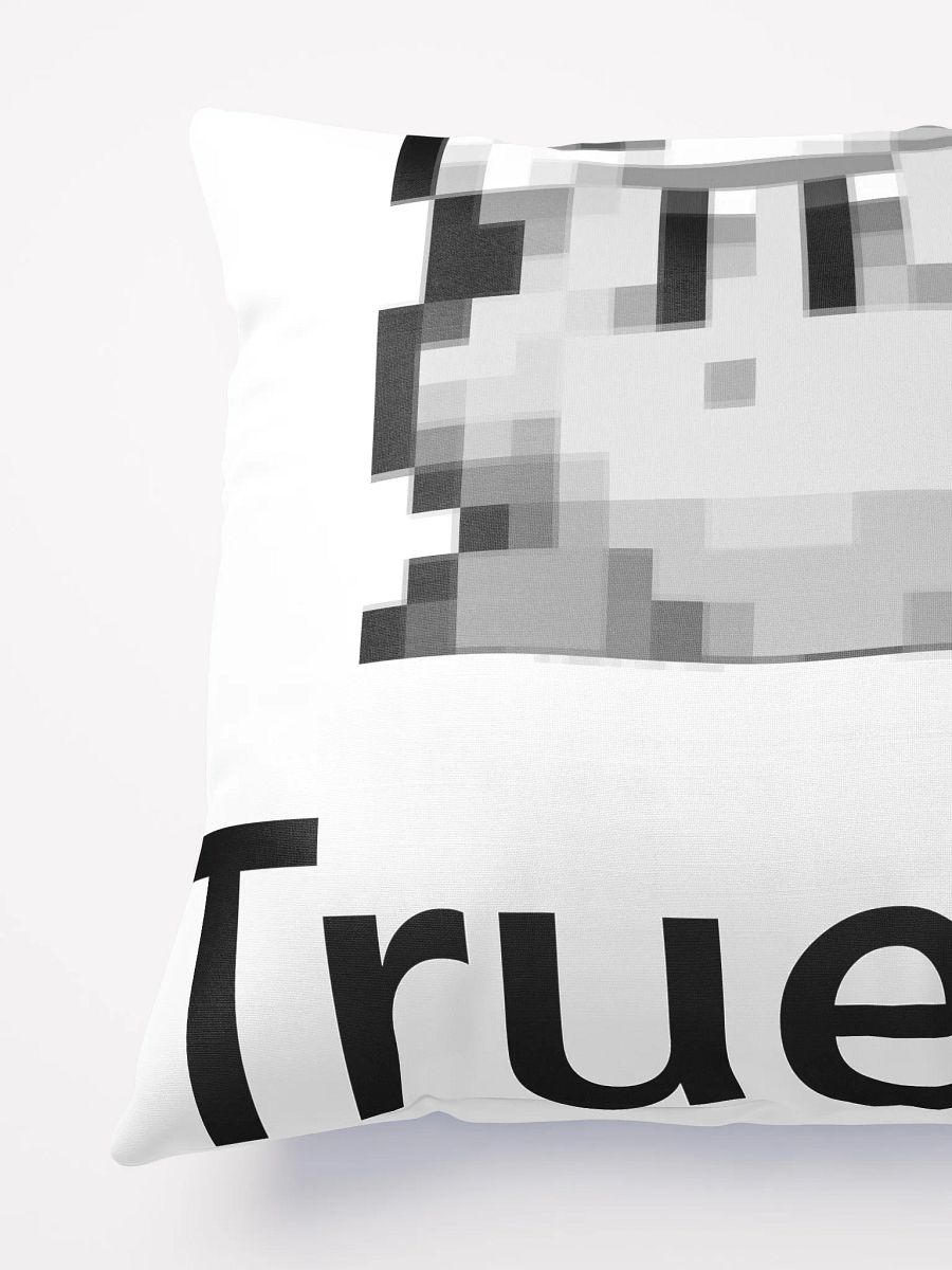True... Pillow product image (5)