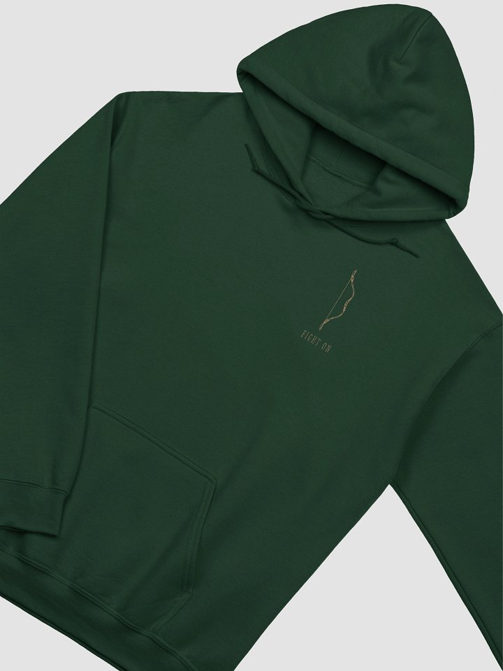Fight On Hoodie product image (2)