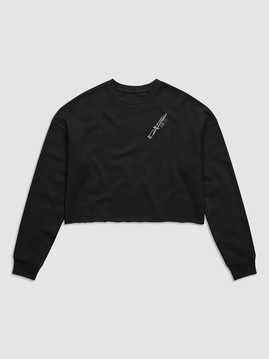 GOLD | Chaotic Neutral Sweatshirt {Colorblock} product image (3)