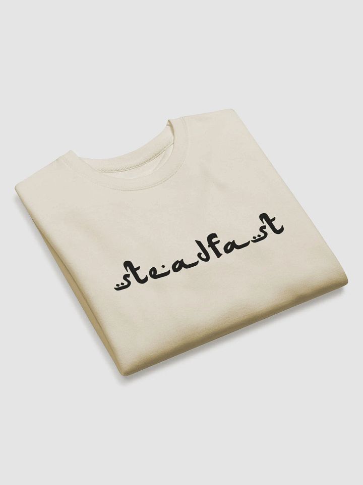 SteadFast in Faith product image (2)