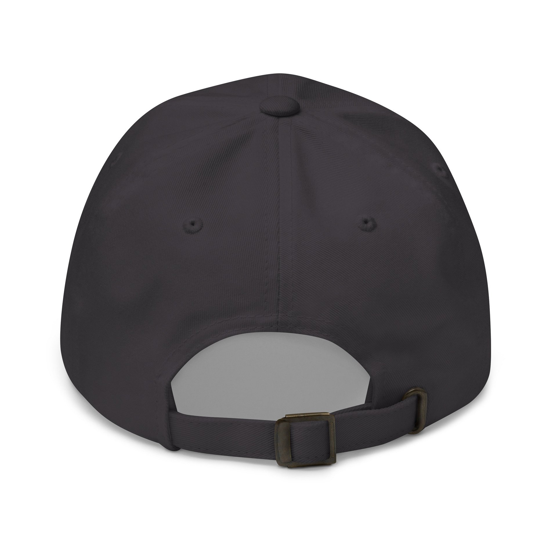 AUMC Logo Dad Hat product image (2)