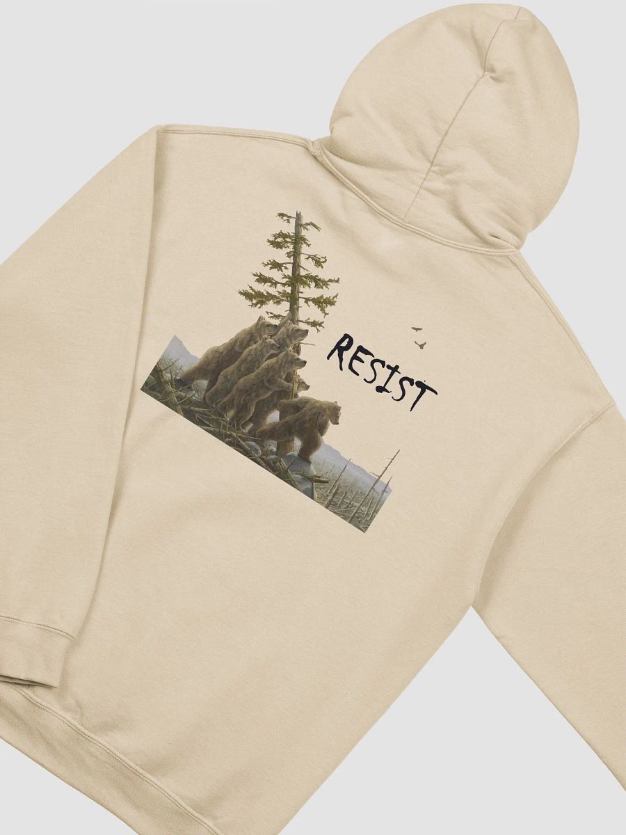BEARS RESIST! Our Parks Pullover Hoodie Alt National Parks Gear product image (3)